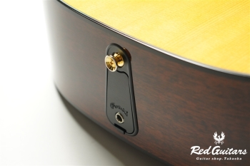 00-Nylon w/FISHMAN Matrix VT Enhance